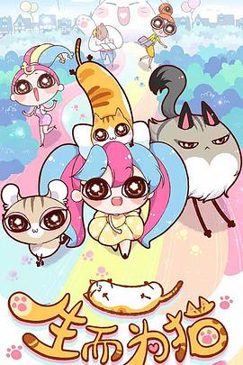 秀山网站优化seo推广服务